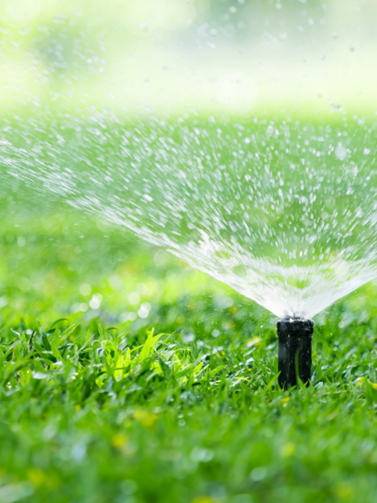 <a style="color: #0FBA00;" href="https://goldensoiltippers.com.au/auto-irrigation-system/">Auto Irrigation System</a>