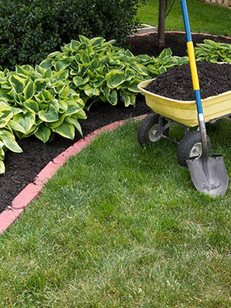 <a style="color: #0092C2;" href="https://goldensoiltippers.com.au/mulching-services/">Mulching Services</a>