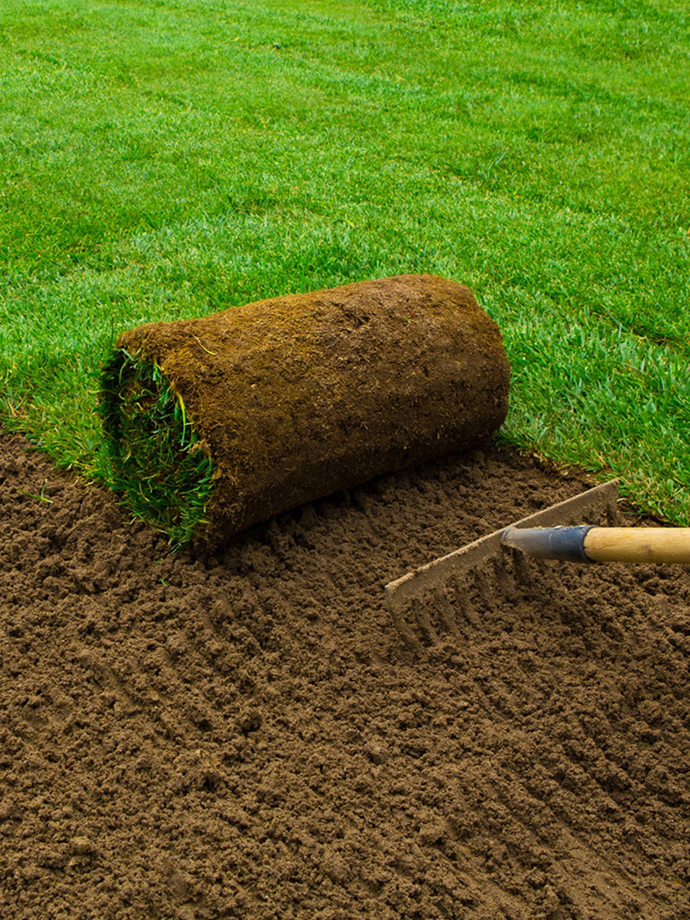 <a style="color: #0FBA00;" href="https://goldensoiltippers.com.au/instant-turf-installation/">Instant Turf Installation</a>