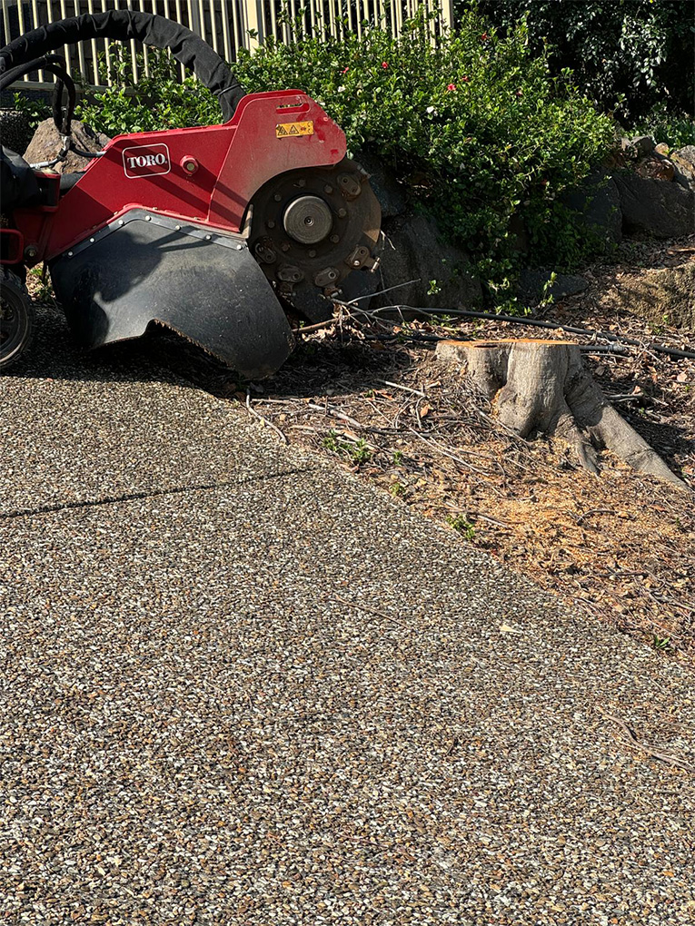 <a style="color: #0092C2;" href="https://goldensoiltippers.com.au/stump-grinding/">Stump Grinding</a>