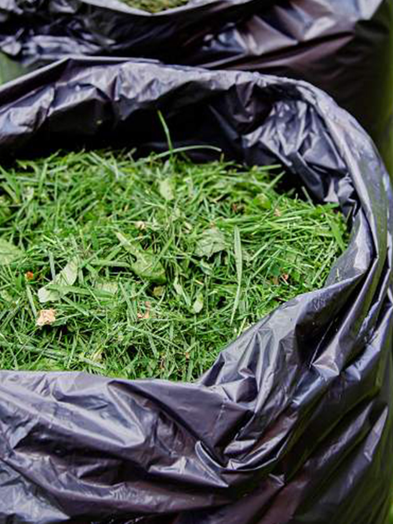 <a style="color: #0FBA00;" href="https://goldensoiltippers.com.au/green-waste-removal/">Green Waste Removal</a>