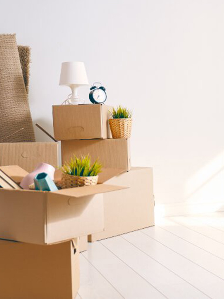 <a style="color: #0FBA00;" href="https://goldensoiltippers.com.au/end-of-lease-cleaning/">End Of Lease Cleaning</a>