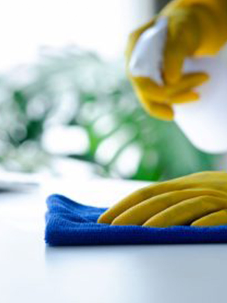 <a style="color: #0FBA00;" href="https://goldensoiltippers.com.au/regular-cleaning-services/">Regular Cleaning Services</a>